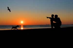 communication animale famille
