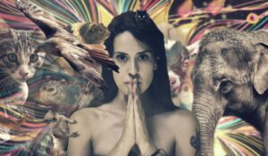 communication animale femme