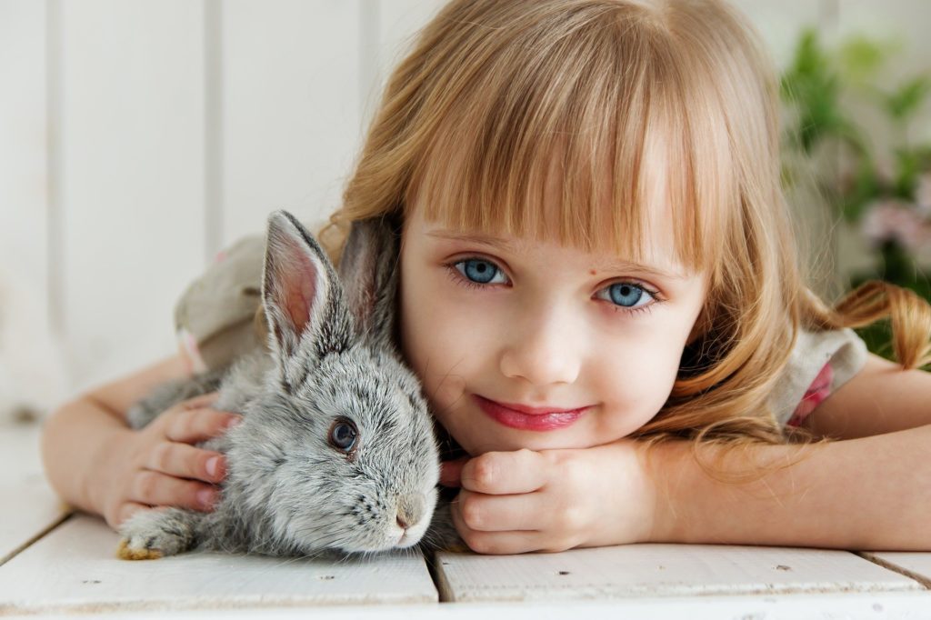 communication animale lapin