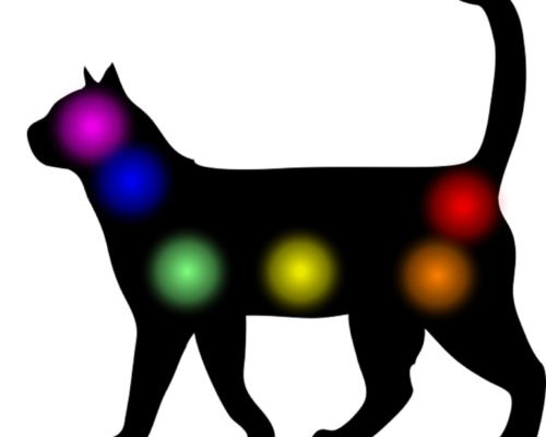 soins energetiques animaux